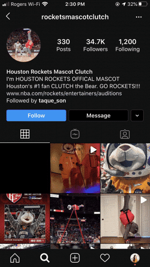 Rockets to hold open auditions for 'Clutch the Bear' mascot