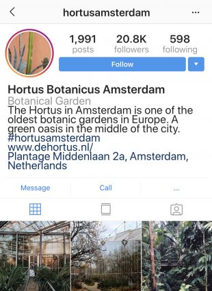 instagram profile bio ideas