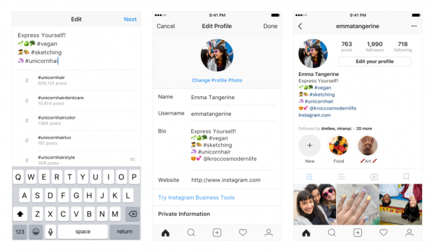 hashtags in instagram bio - how to hide your followers on instagram iphone